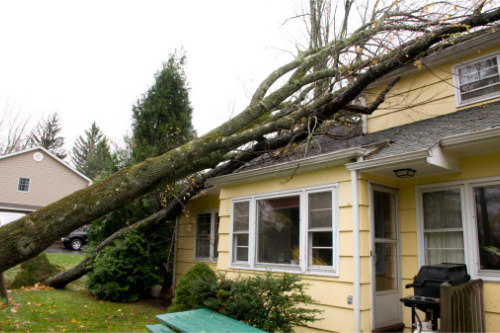 Catastrophic weather caused 39% of all home insurance claims in 2020 – report