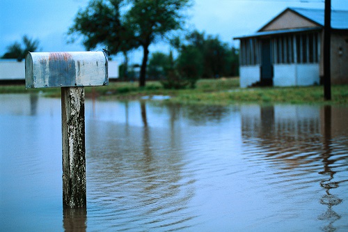 Flood insurance lawsuit gains traction as more states file support briefs