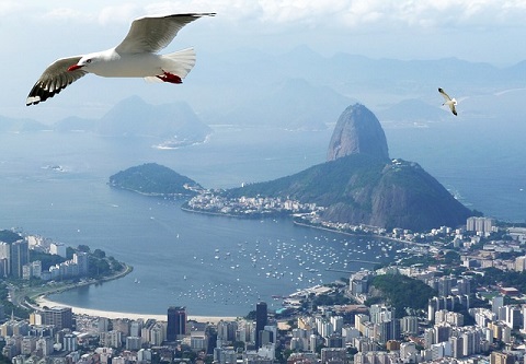 Rio Olympics travelers should review their travel insurance policies